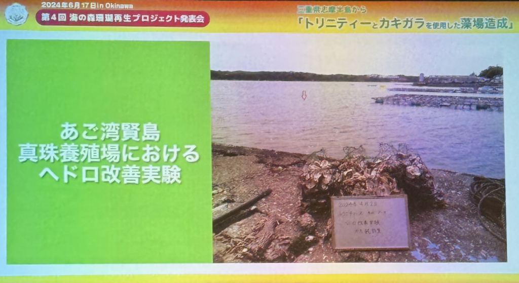 あご湾賢島真珠養殖場のヘドロ改善実験。